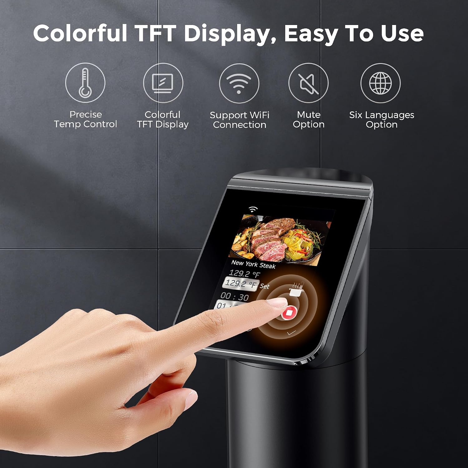 Urządzenie do gotowania sous v – Sous Vide Immersion recenzja i cena