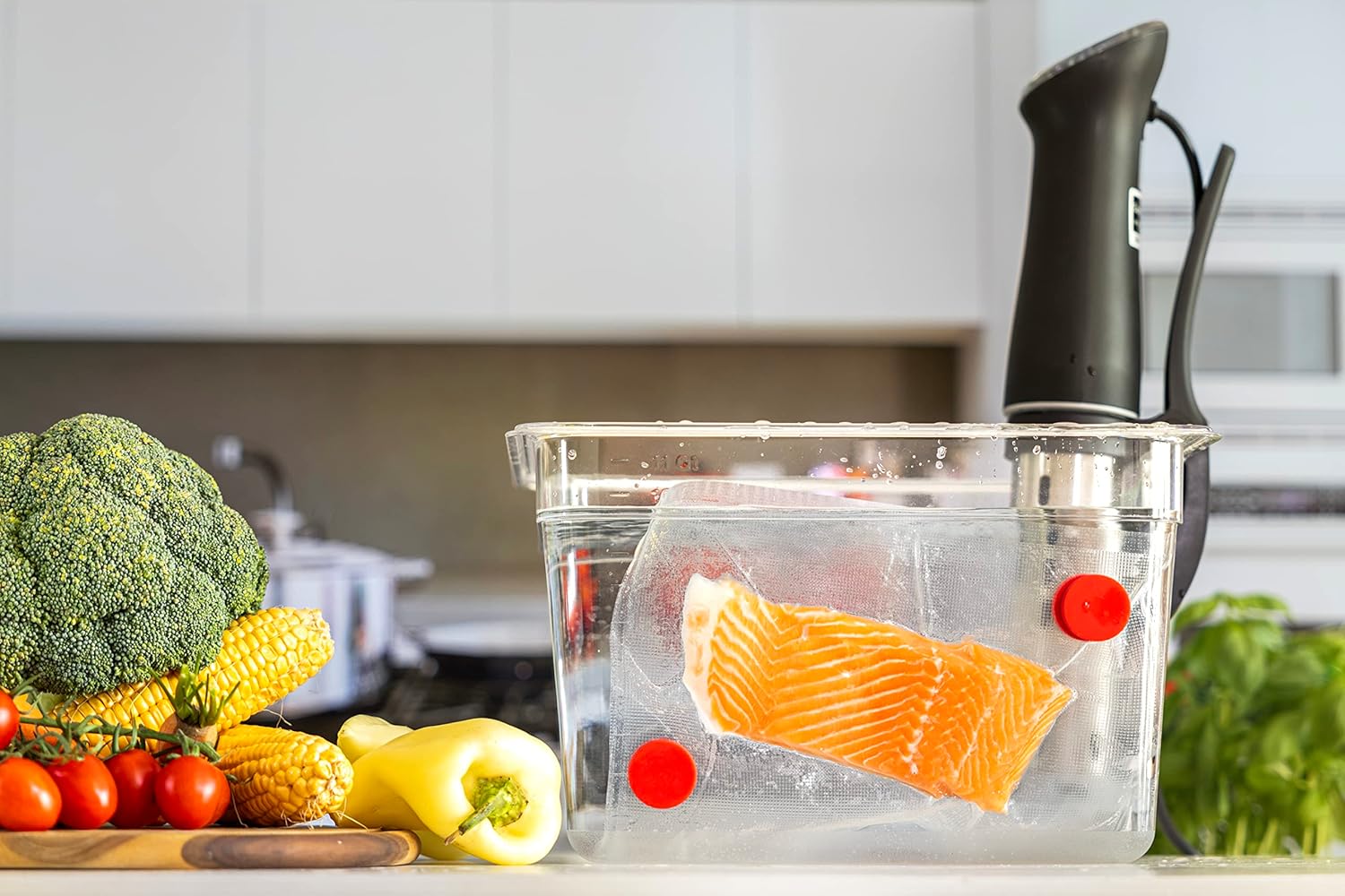 Zestaw 8 magnesów Sous Vide -  – Sous Vide Immersion recenzja i cena