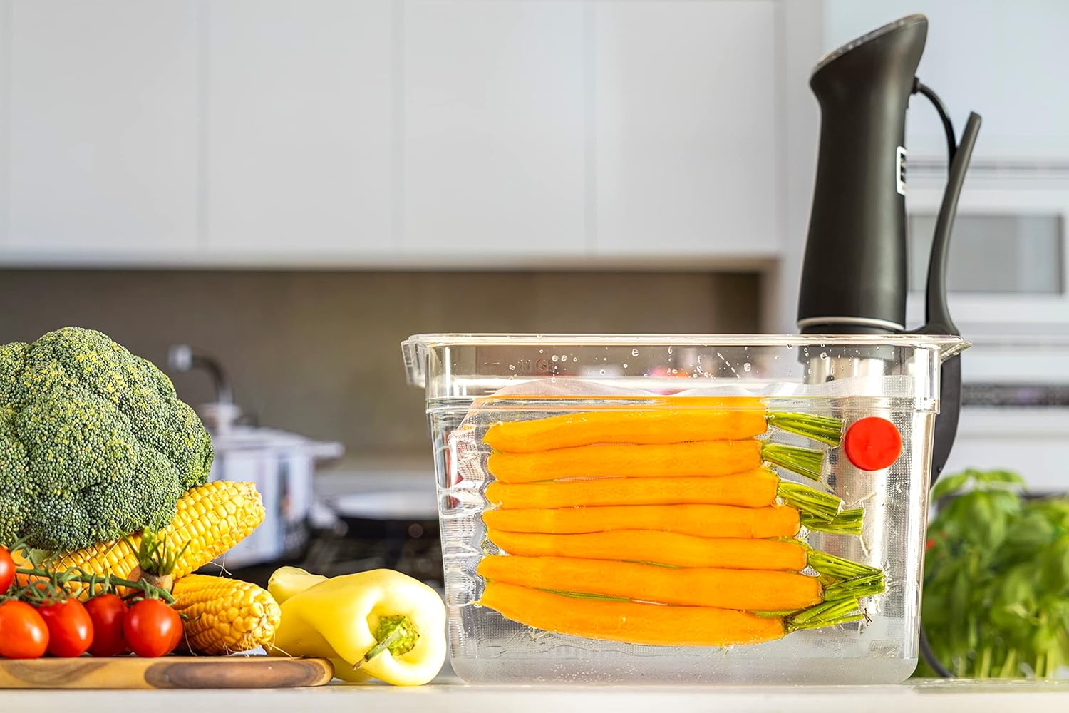 Zestaw 8 magnesów Sous Vide -  – Sous Vide Immersion recenzja i cena